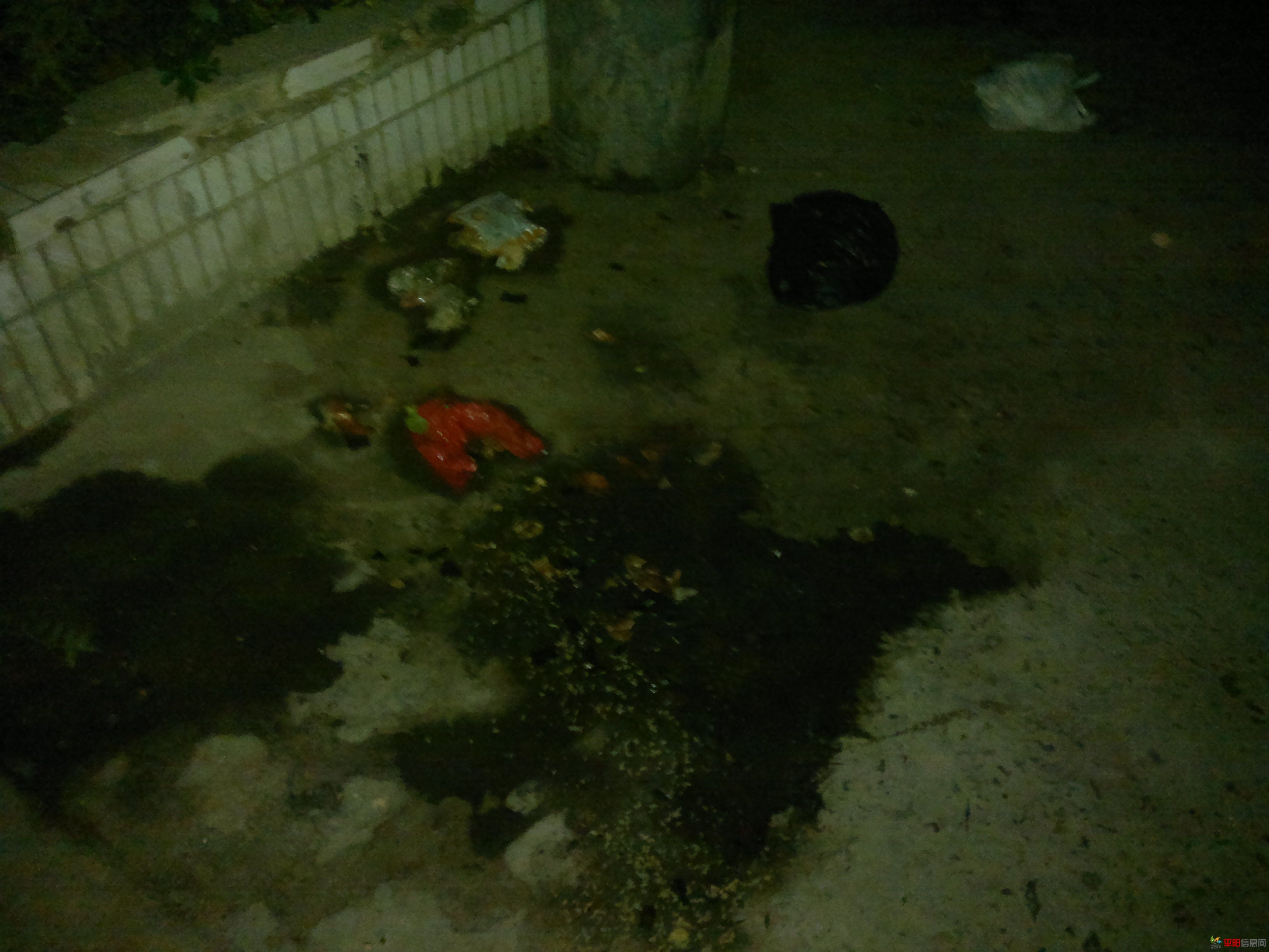 20110922021.jpg
