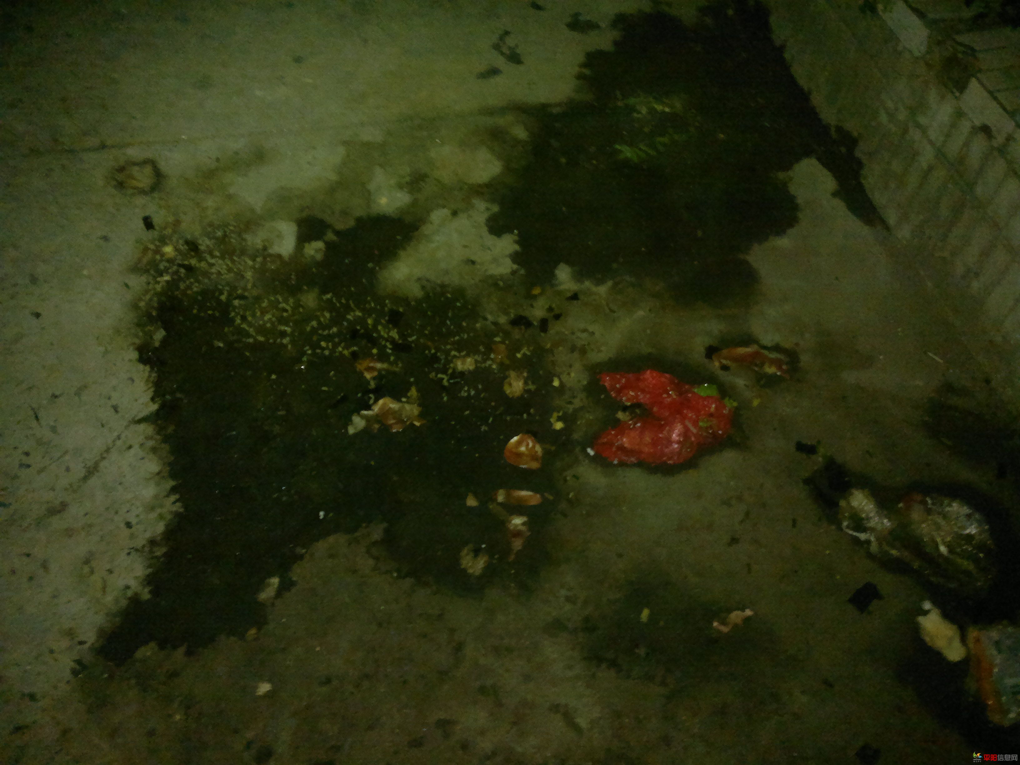 20110922026.jpg