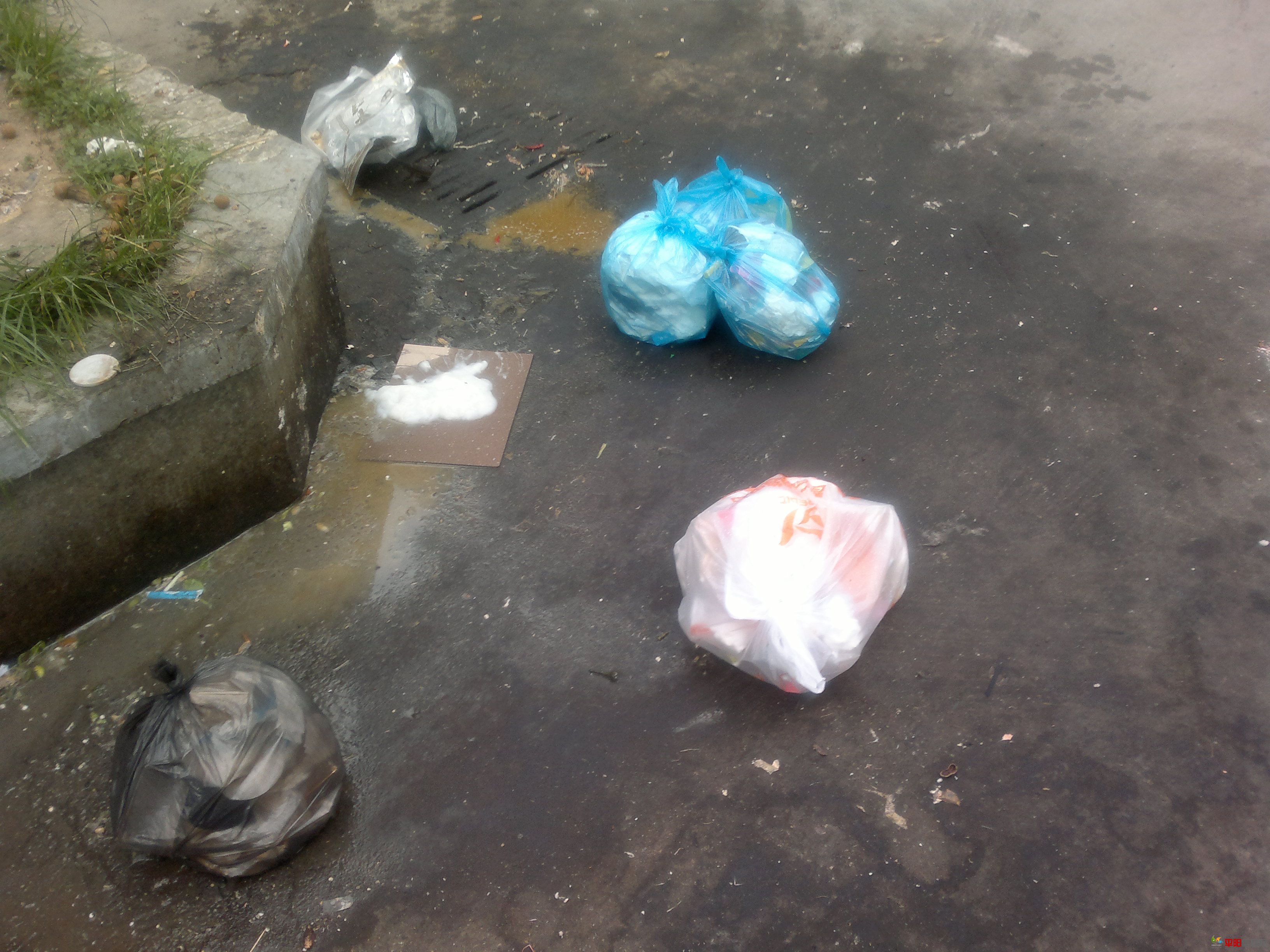 20110923028.jpg