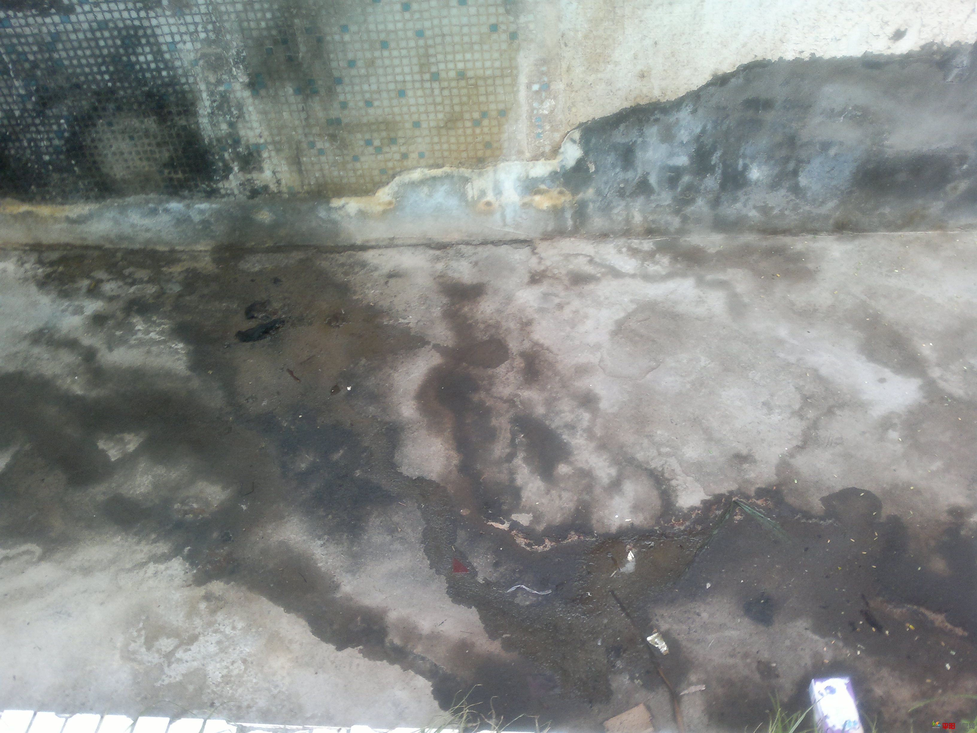 20110923029.jpg