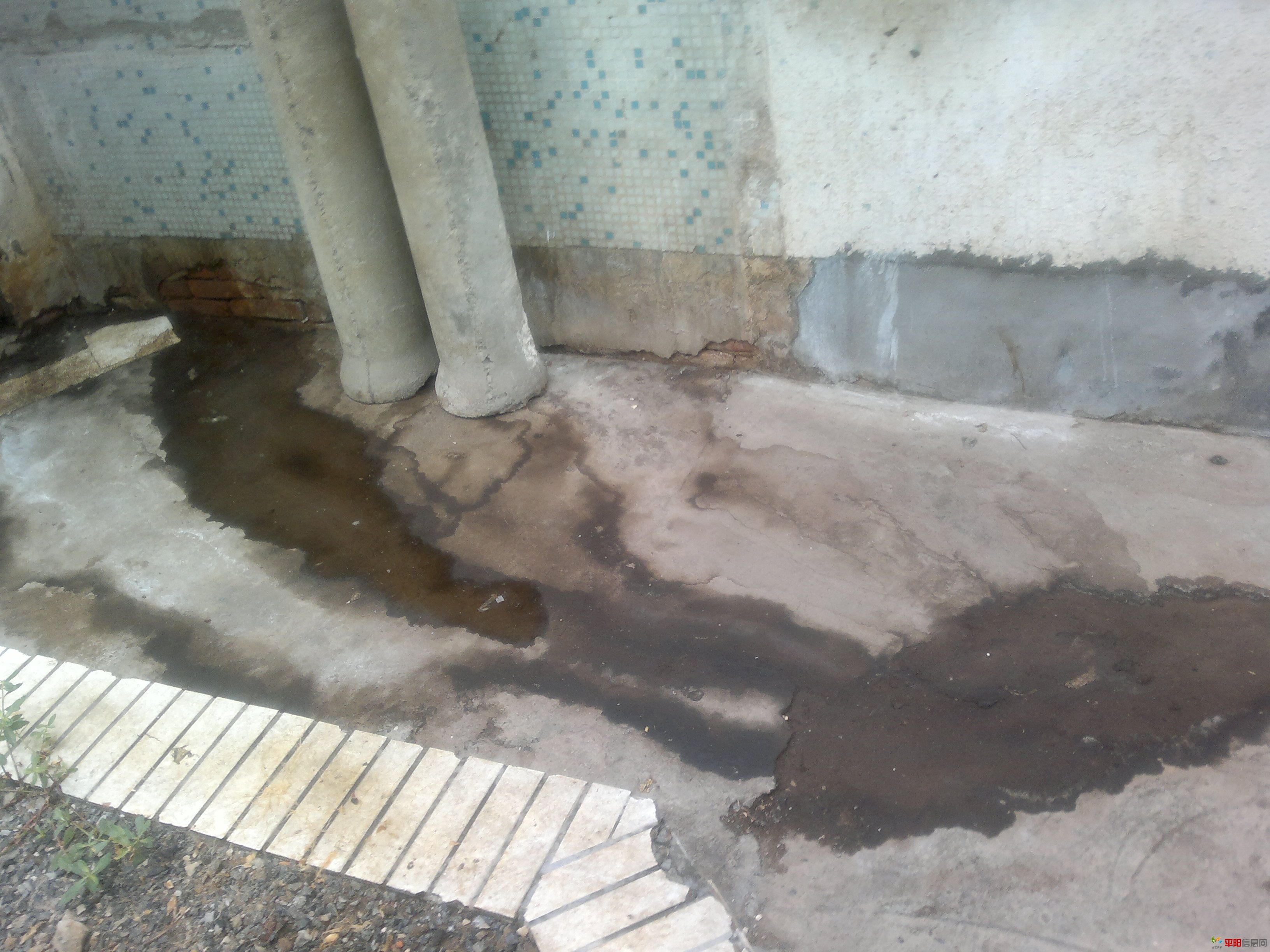 20110923031.jpg