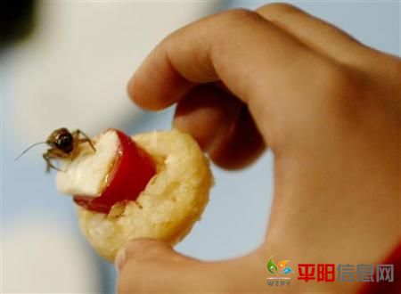 桰˾.jpg