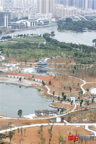 1379001_457785.jpg