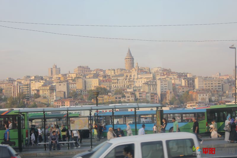 IMG_4413.jpg