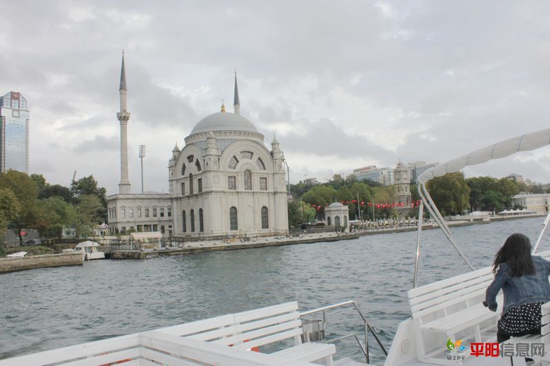 IMG_4668.jpg