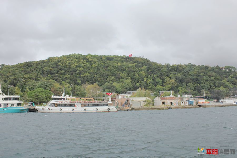 IMG_4760.jpg