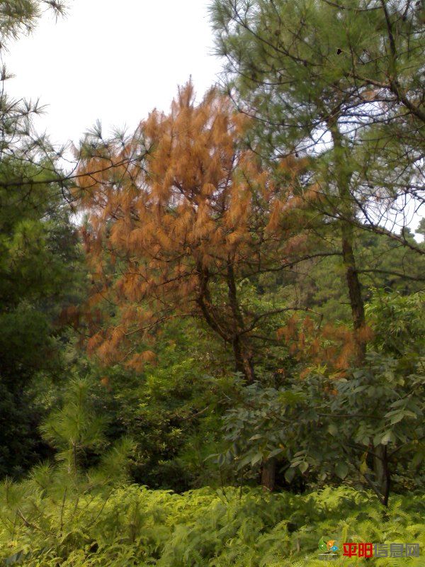 201110183071.jpg