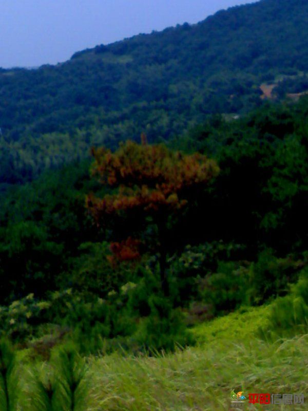 201109182851.jpg