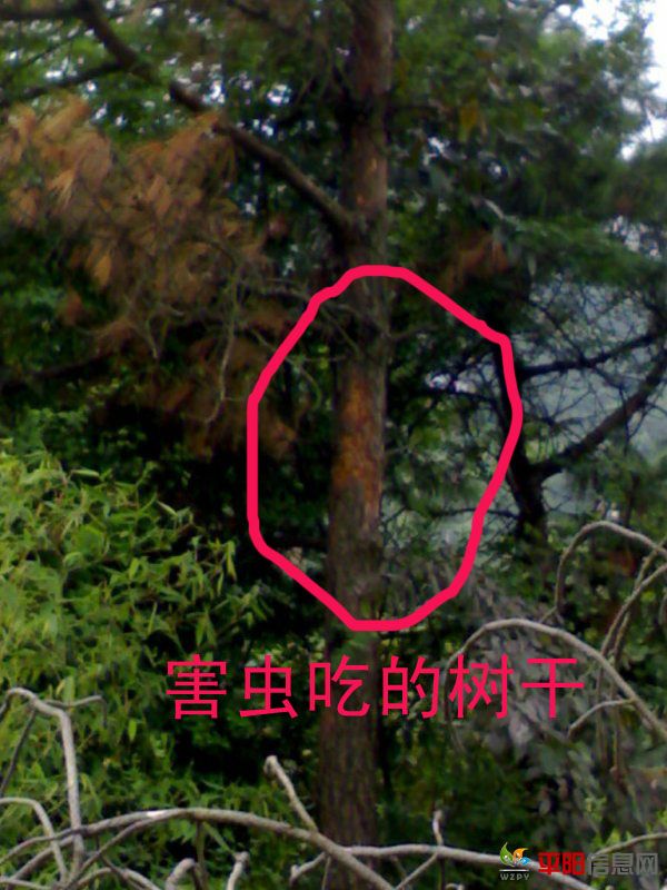 200701012972.jpg
