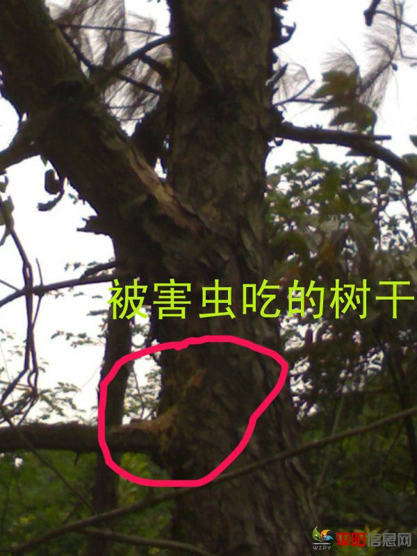 200701012977.jpg