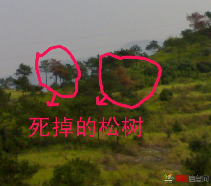 201110183062.jpg