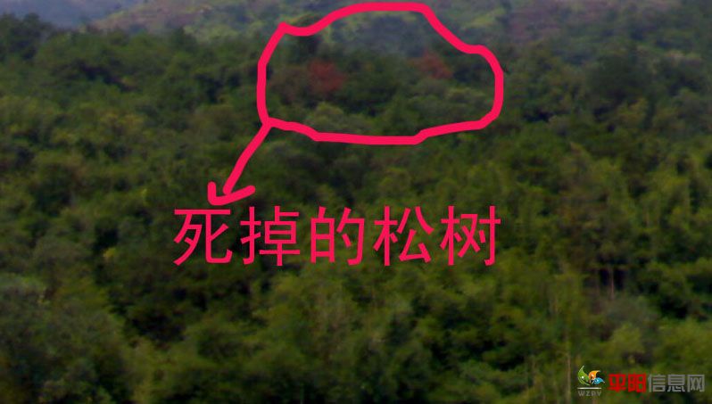 201110183065.jpg