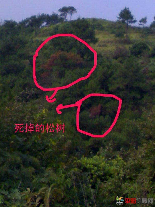 201110183069.jpg