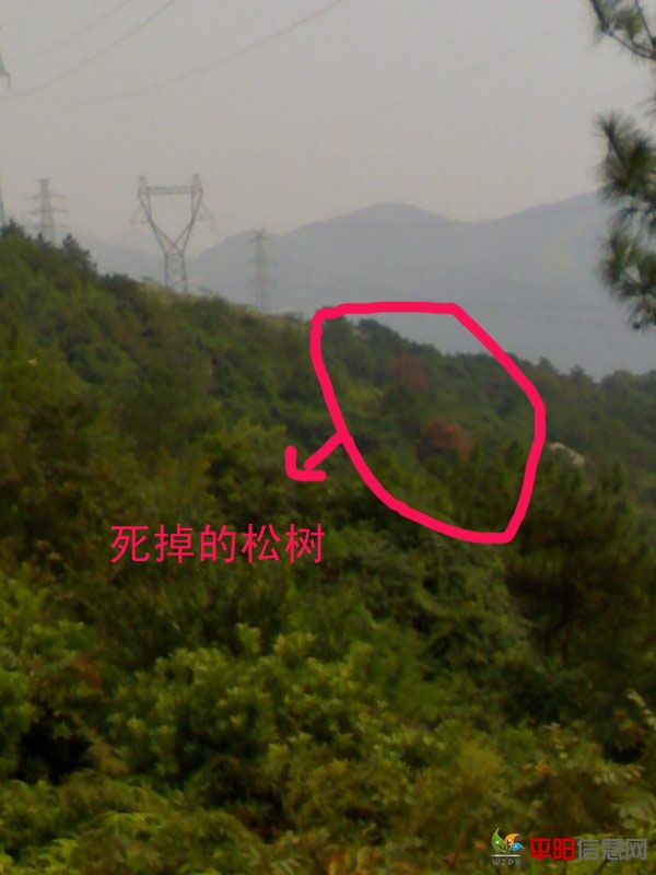 201110183072.jpg