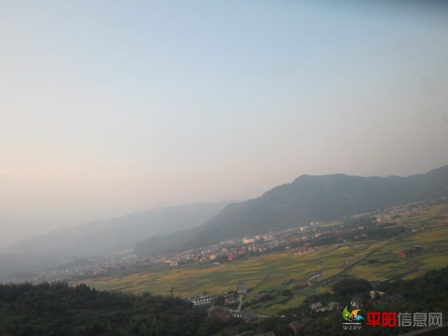 IMG_0377.jpg