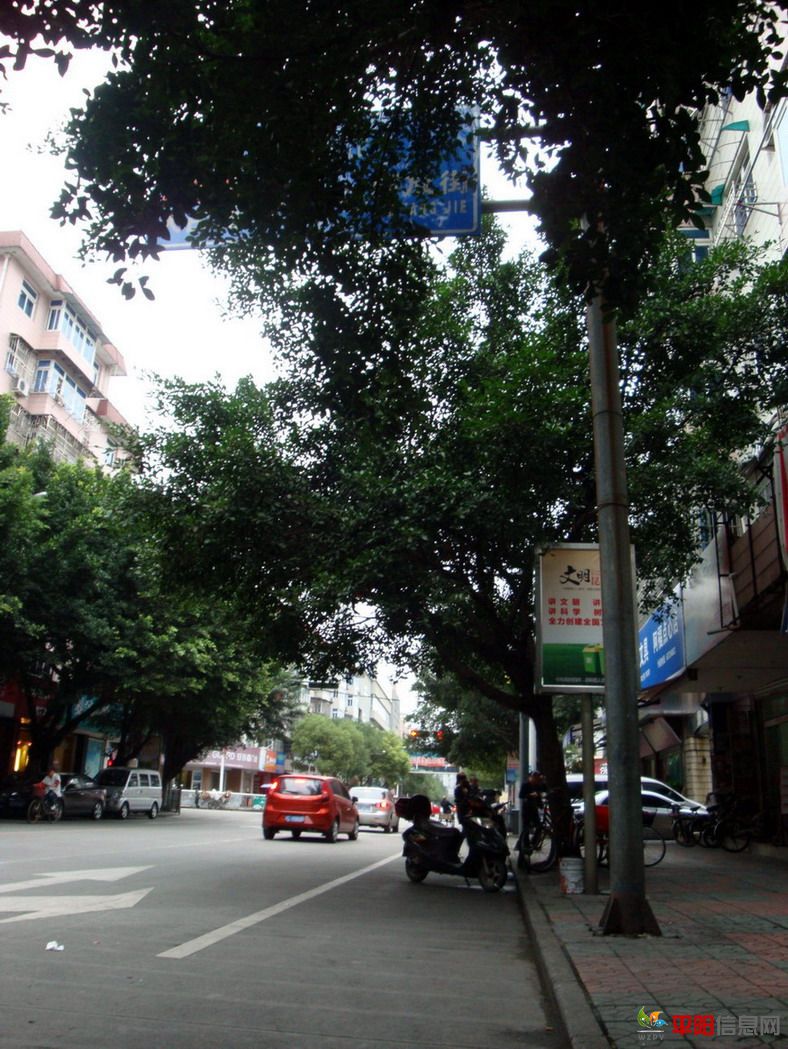 DSC06315.jpg