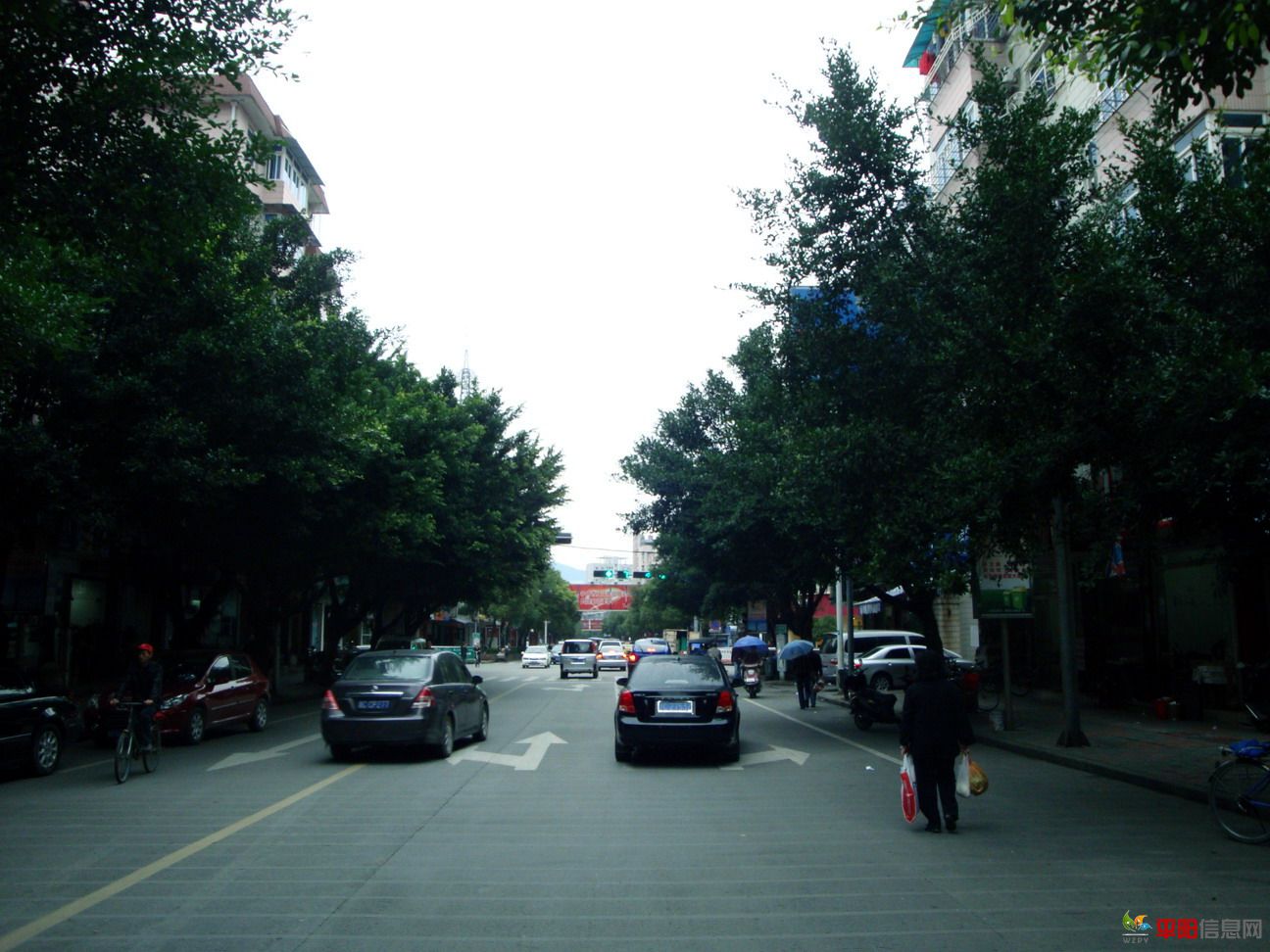 DSC06317.jpg