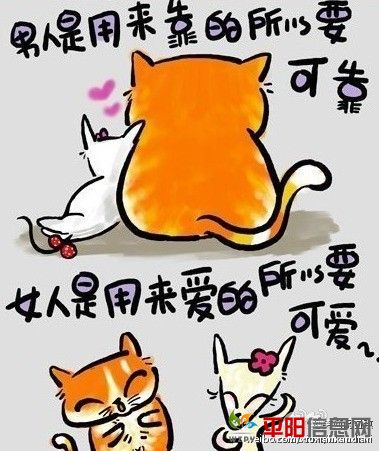 61e7e9f1jw1dml20vwhojj.jpg