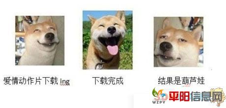 20111111105104537.jpg