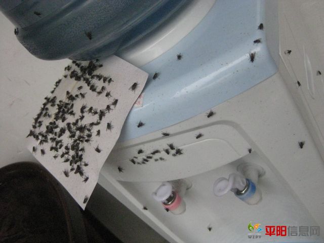 Ƭ 191.jpg