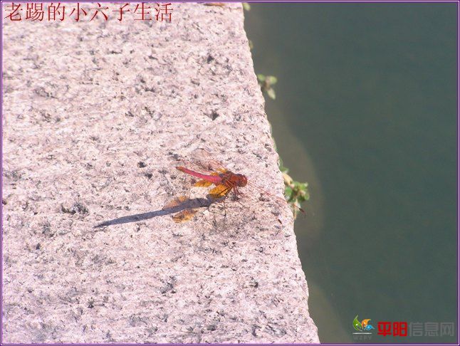 PB120089.jpg