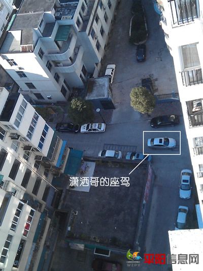 IMAG0135.jpg