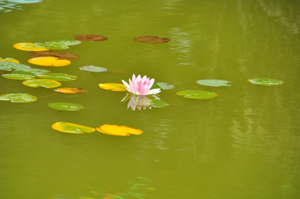 DSC_6696.jpg