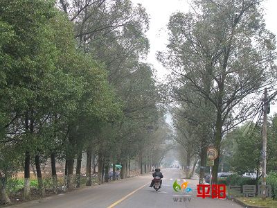 IMG_0157.JPG