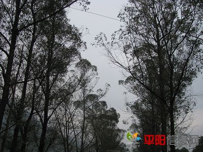 IMG_0160.JPG