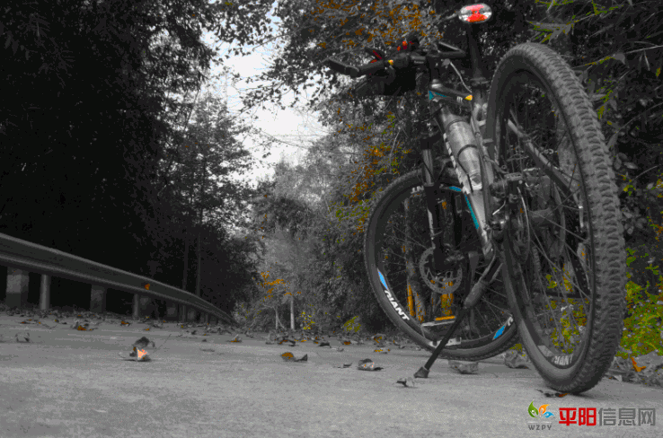 11111.gif