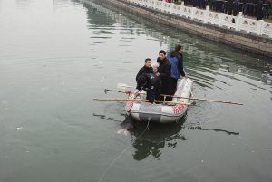 20120114293344.jpg