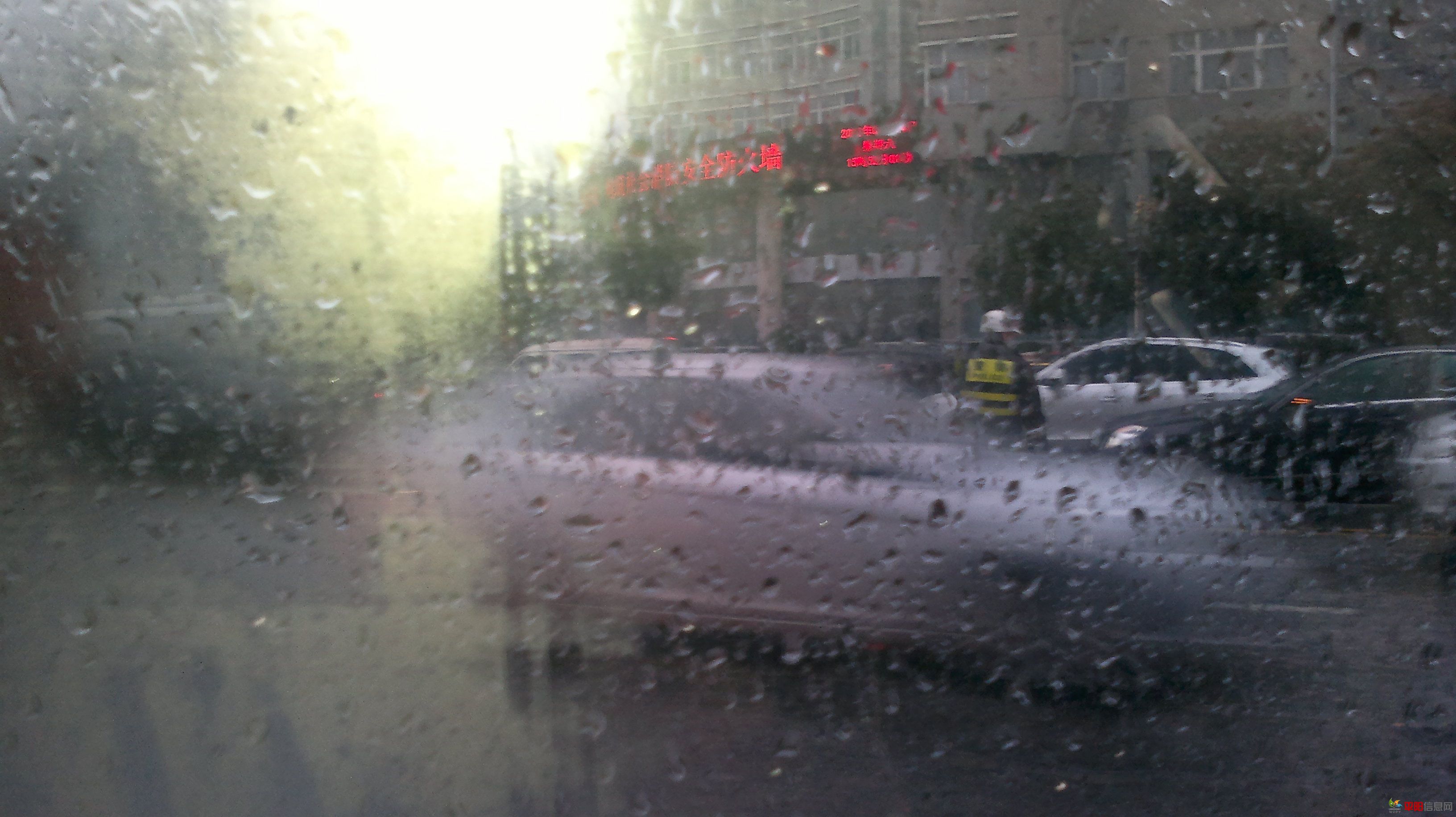 20120114236.jpg