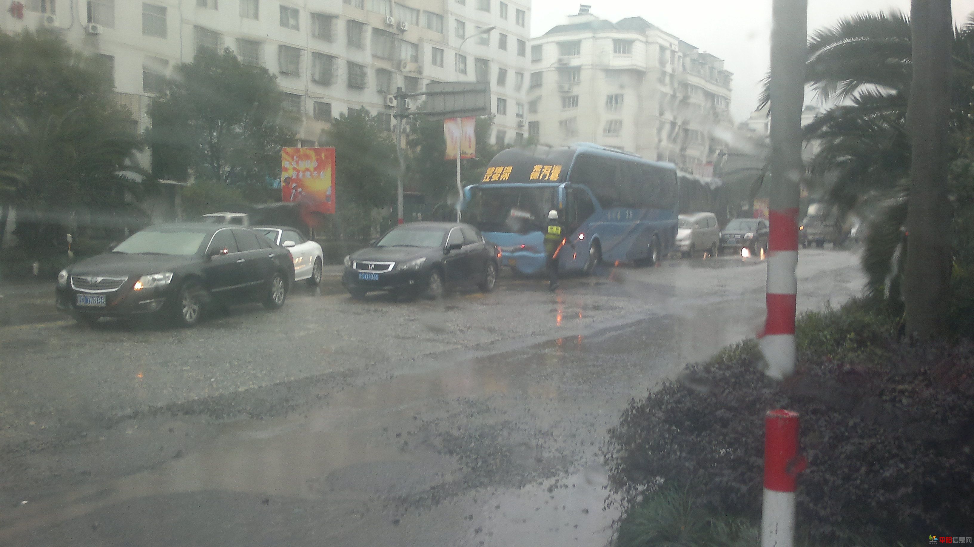 20120114240.jpg