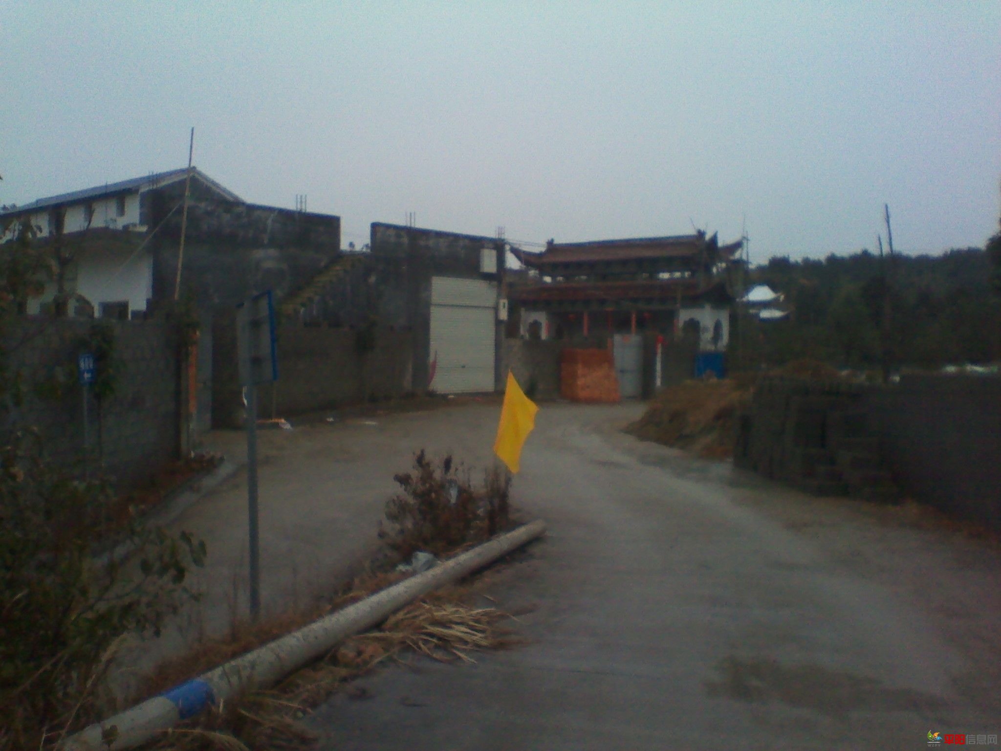 IMG_20120127_134200.jpg