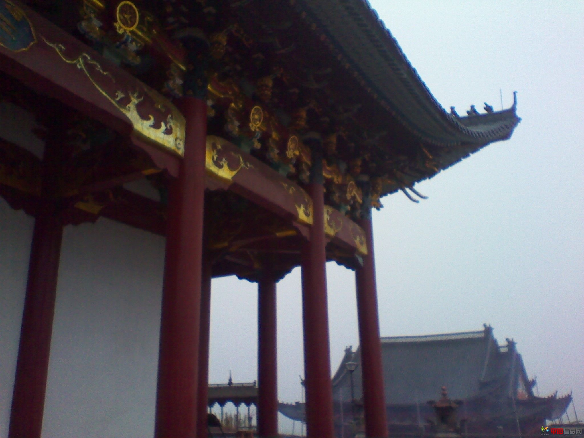IMG_20120127_141325.jpg