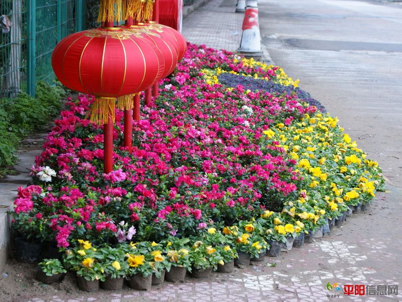 DSC09023A.JPG