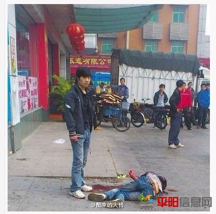 bd315c6034a85edfa8ccb39649540923dc5475c6[1].jpg
