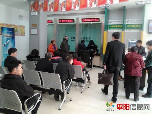 2011-12-10 11.33.22.jpg