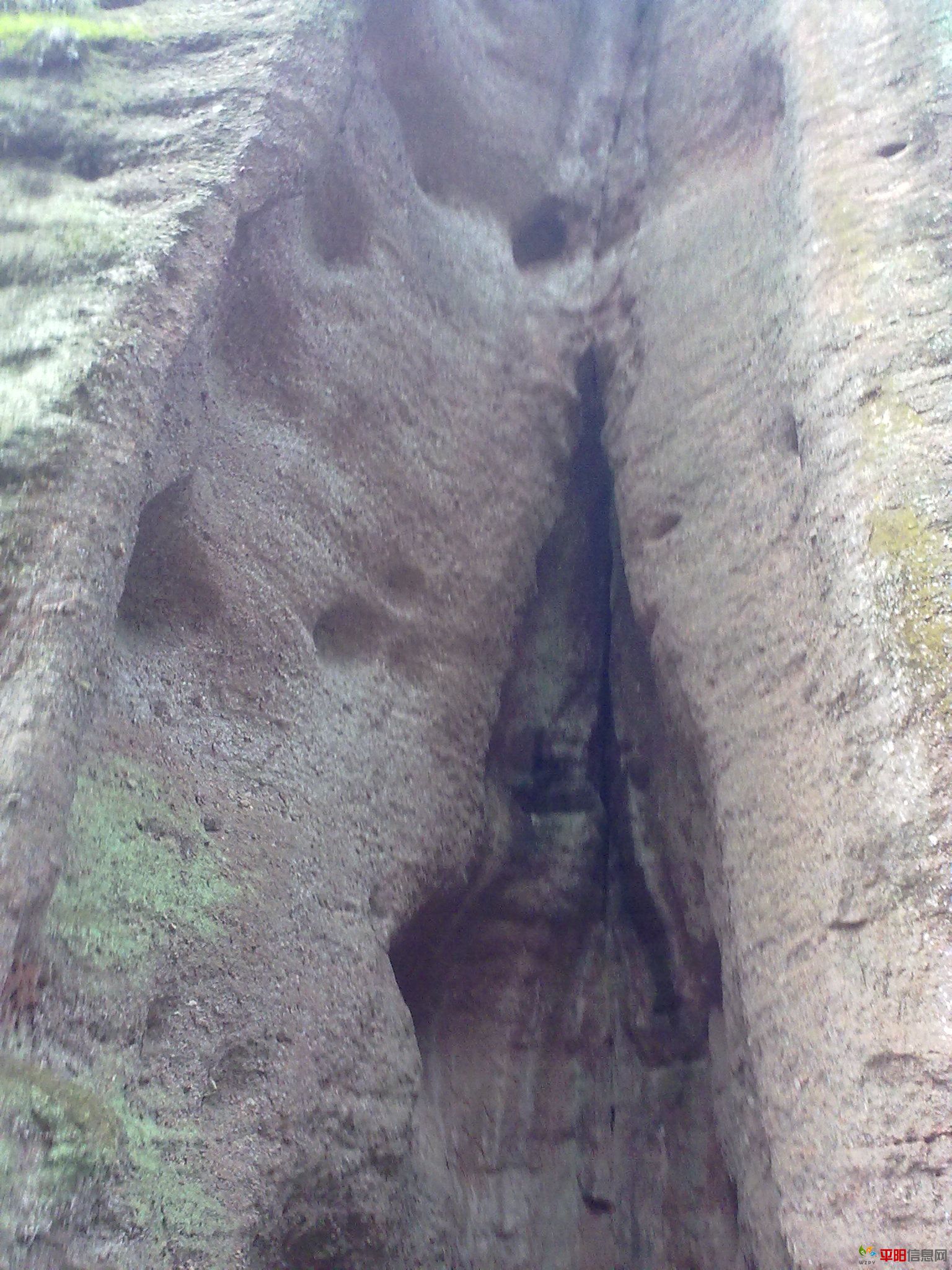 20100317045.jpg