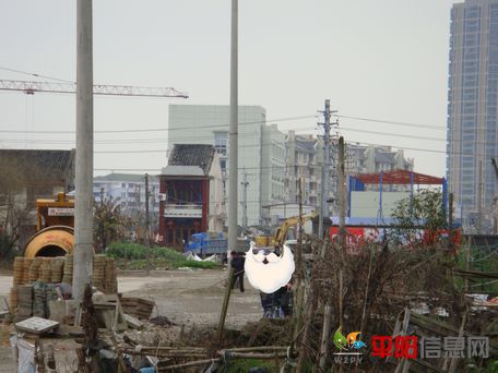 cll22.jpg