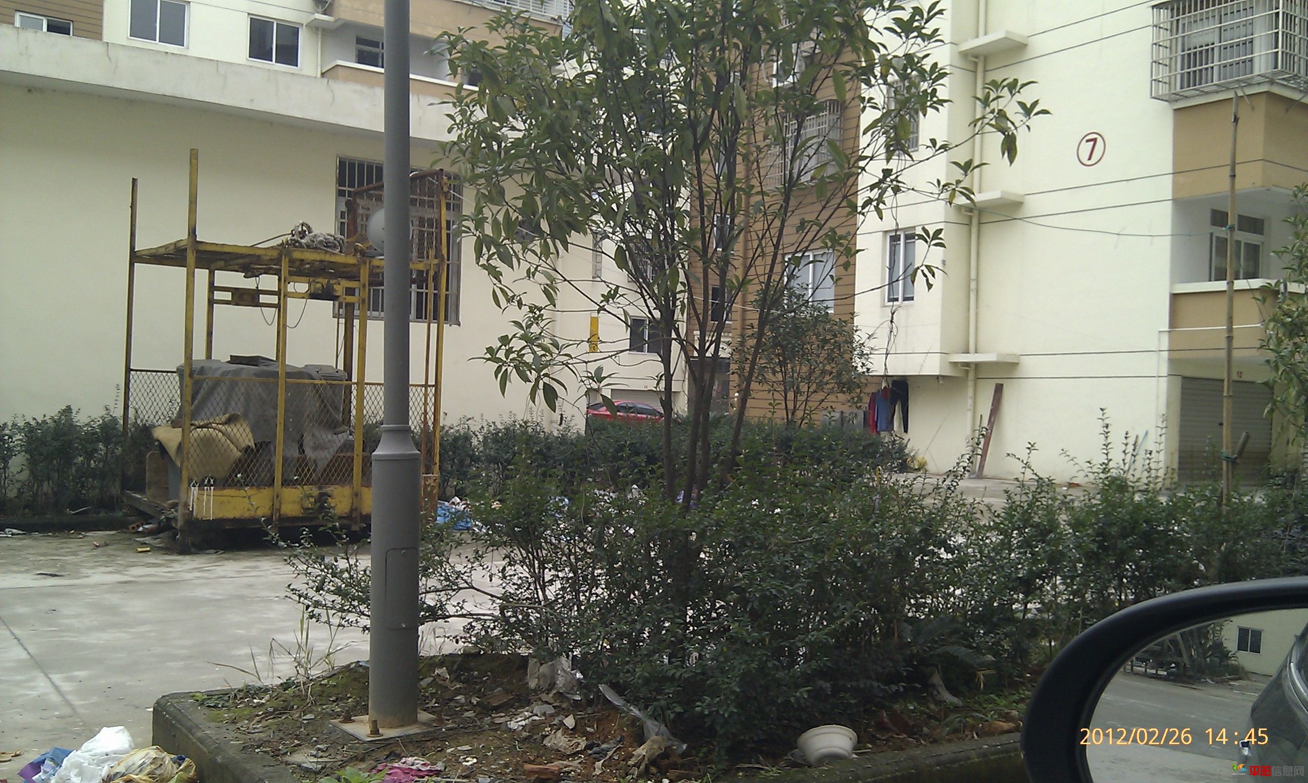 IMAG0087.jpg