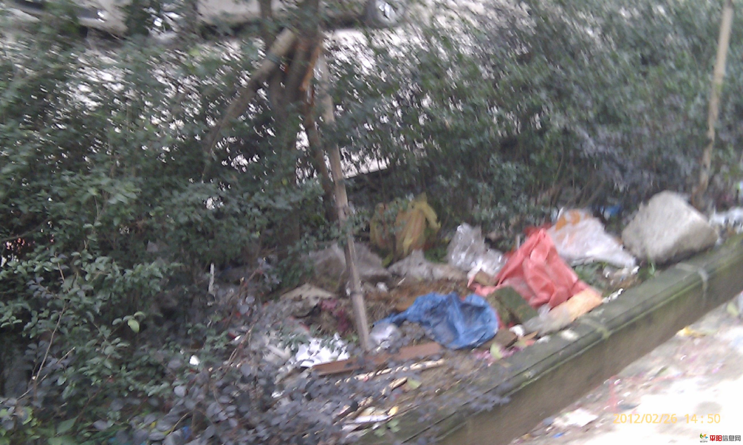 IMAG0094.jpg
