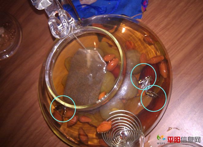 IMAG0045_.jpg