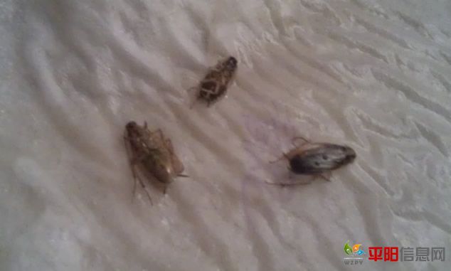 imag0047_.jpg