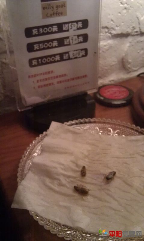 imag0048_.jpg