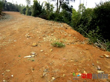 tt55.jpg