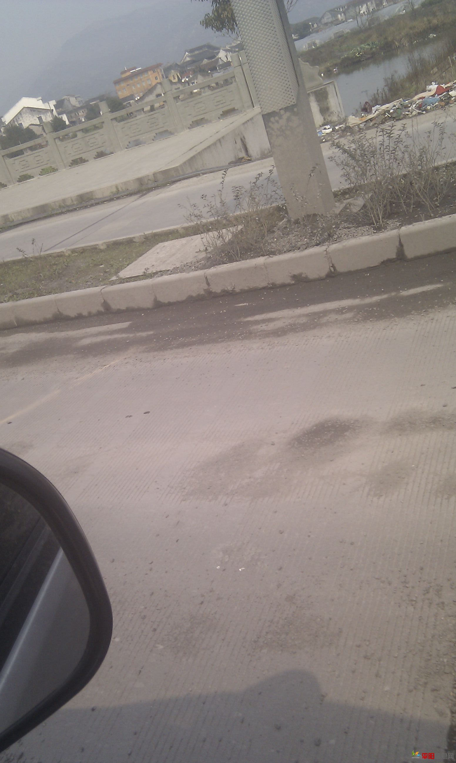 IMG_20120310_135123.jpg