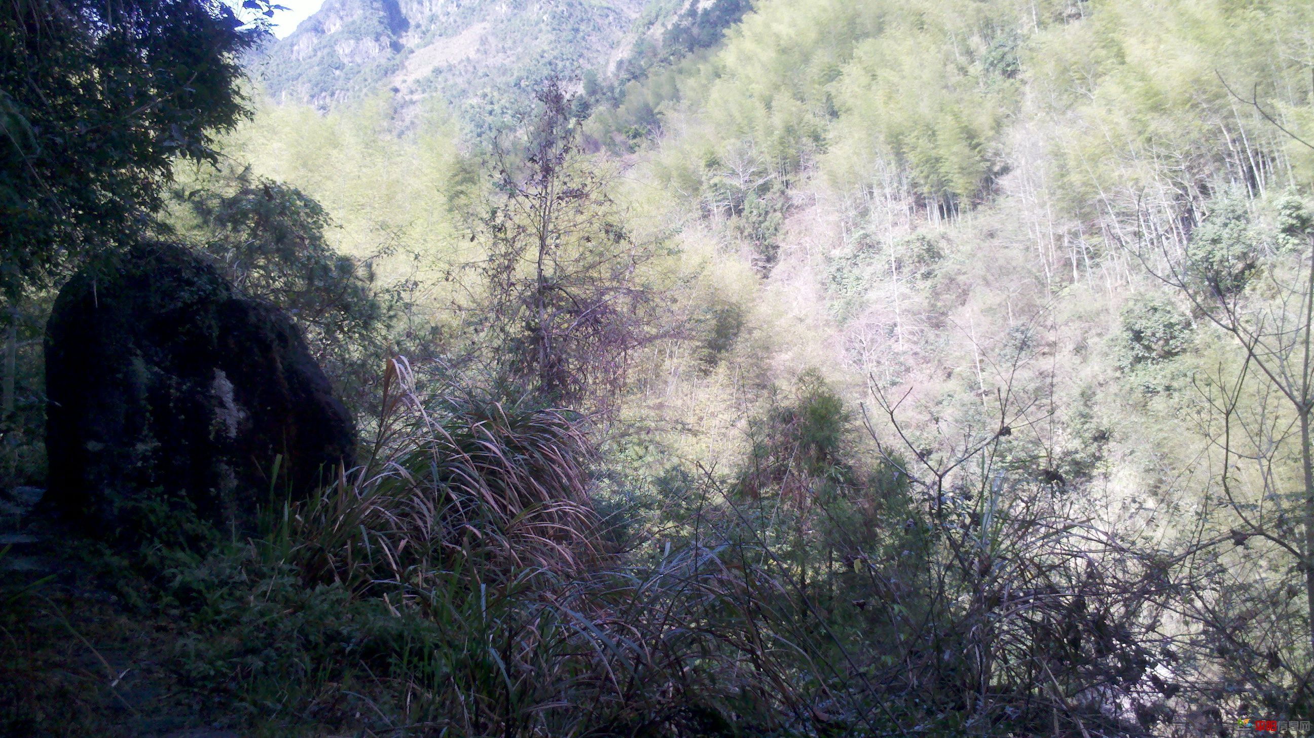 2012-02-05_12-09-39_522.jpg