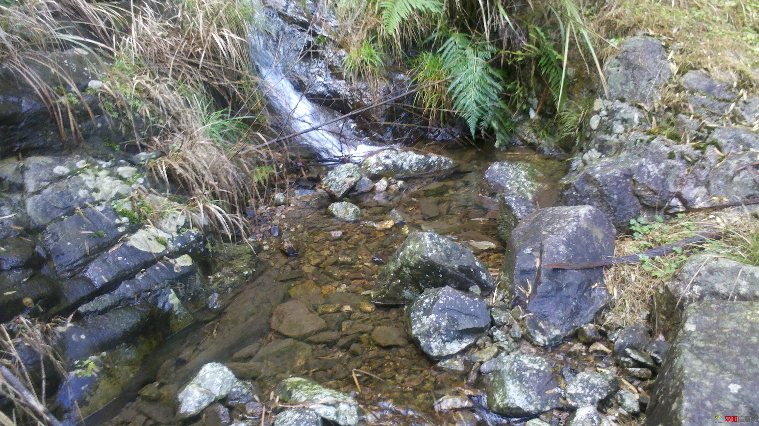 2012-02-05_12-10-39_288.jpg