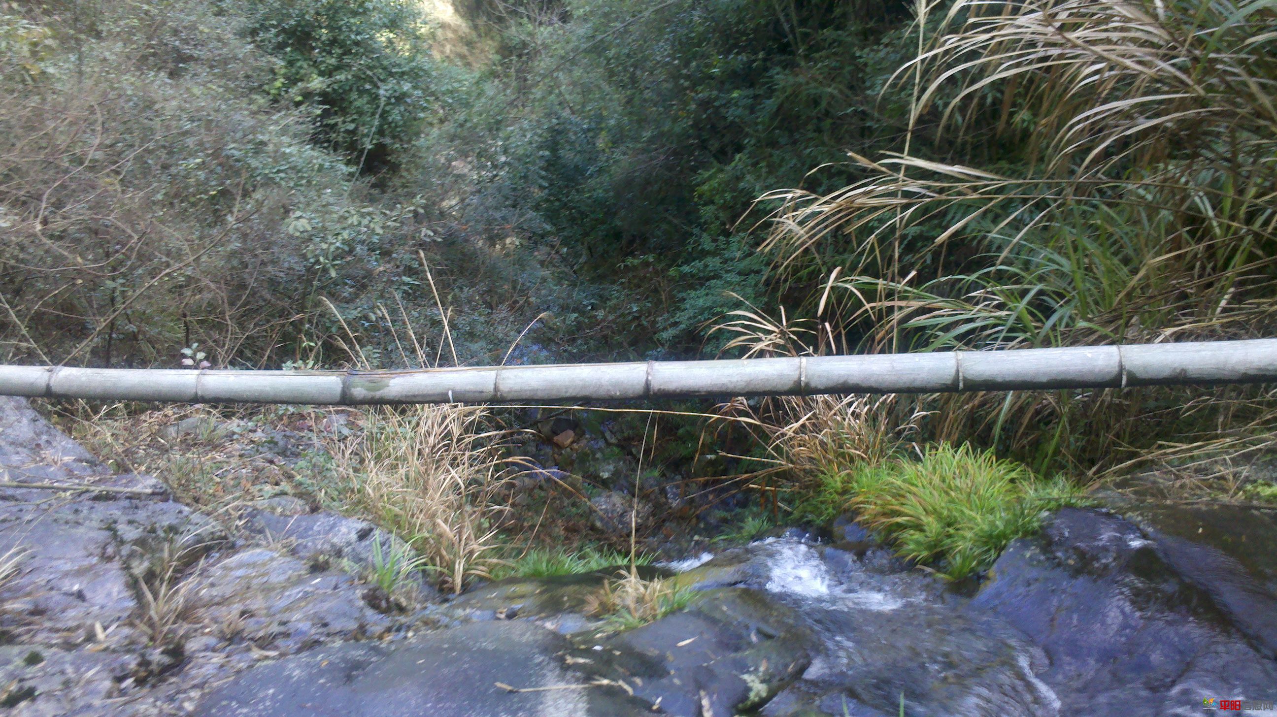 2012-02-05_12-10-47_742.jpg